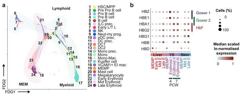 https://cdn.ncbi.nlm.nih.gov/pmc/blobs/b1bd/6861135/58aea96c1711/EMS84343-f003.jpg