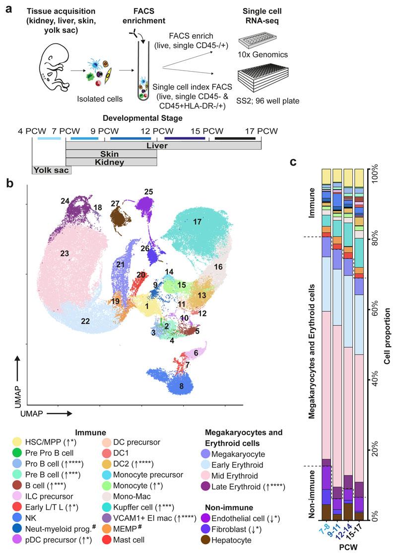 https://cdn.ncbi.nlm.nih.gov/pmc/blobs/b1bd/6861135/8f1413af3abe/EMS84343-f001.jpg