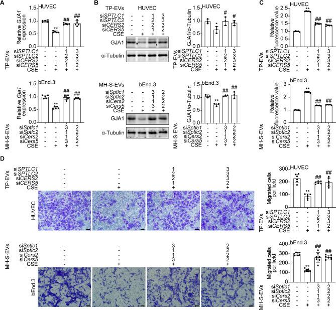 https://cdn.ncbi.nlm.nih.gov/pmc/blobs/b1be/11887234/478c8b445e74/12964_2025_2125_Fig7_HTML.jpg