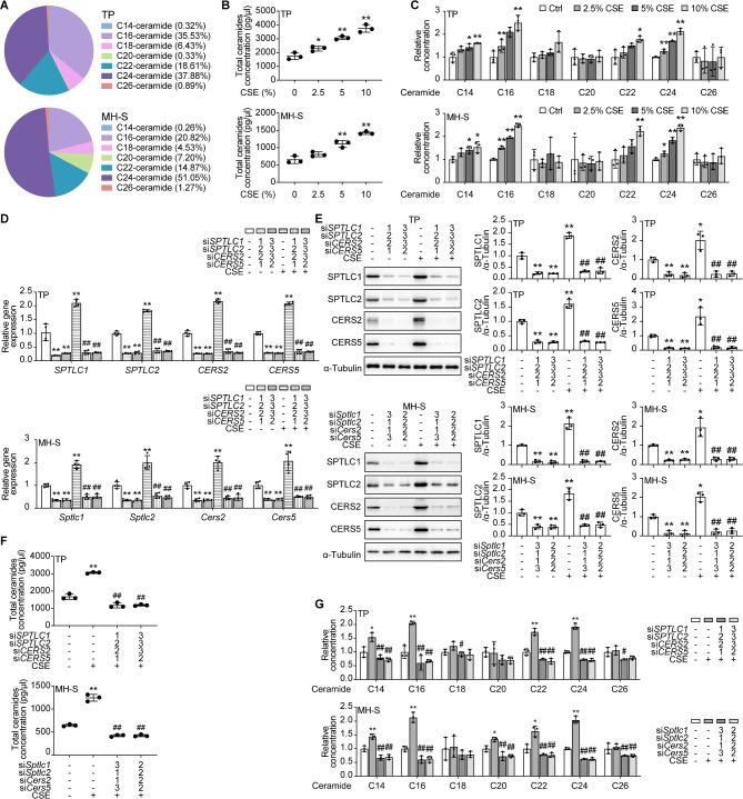 https://cdn.ncbi.nlm.nih.gov/pmc/blobs/b1be/11887234/b98c6fc89bf0/12964_2025_2125_Fig3_HTML.jpg