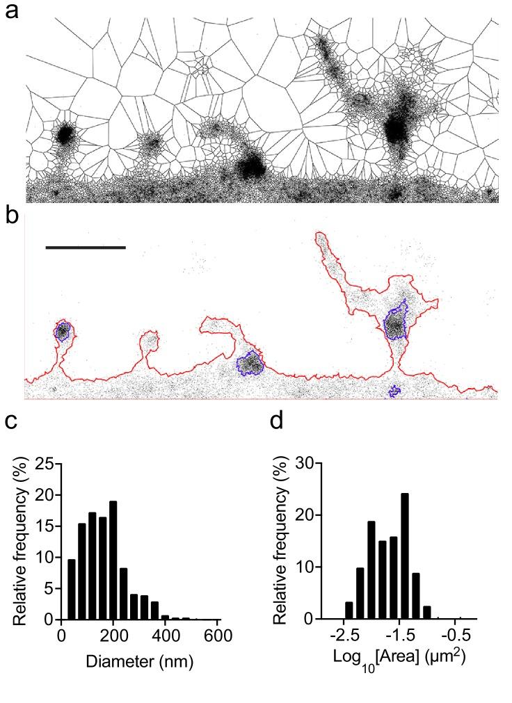 https://cdn.ncbi.nlm.nih.gov/pmc/blobs/b1be/6592683/13854255a1d0/elife-45040-fig1-figsupp2.jpg