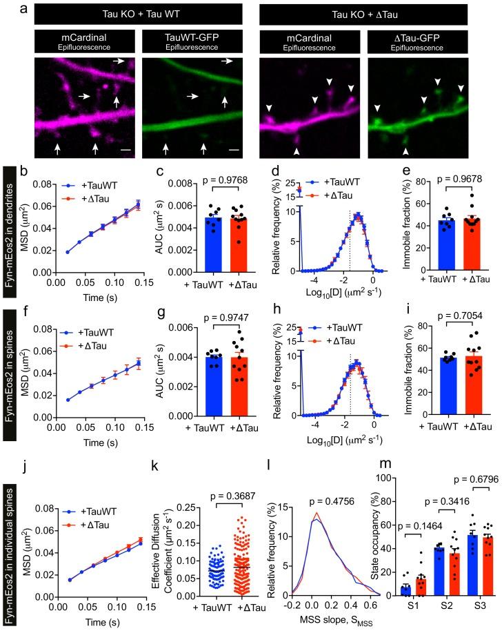 https://cdn.ncbi.nlm.nih.gov/pmc/blobs/b1be/6592683/25996db3989e/elife-45040-fig8.jpg