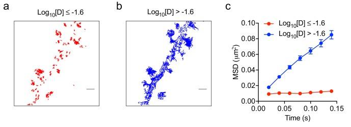 https://cdn.ncbi.nlm.nih.gov/pmc/blobs/b1be/6592683/80dbbbc2dcad/elife-45040-fig1-figsupp3.jpg