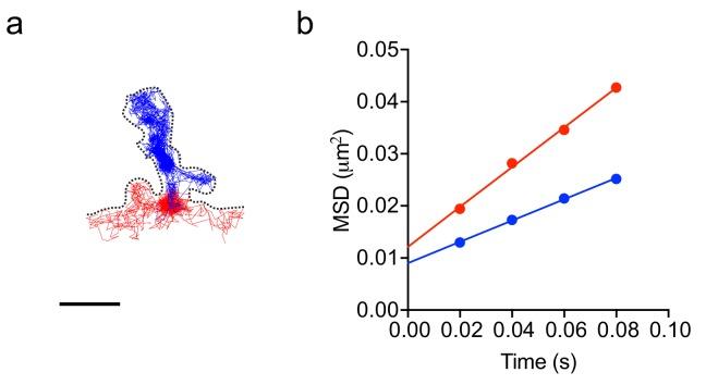 https://cdn.ncbi.nlm.nih.gov/pmc/blobs/b1be/6592683/a42cb4b98620/elife-45040-fig5-figsupp1.jpg