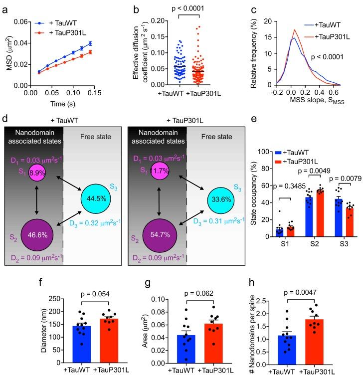 https://cdn.ncbi.nlm.nih.gov/pmc/blobs/b1be/6592683/c8354fe773ce/elife-45040-fig7.jpg