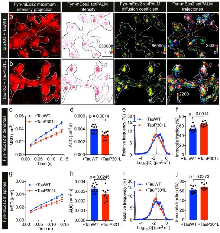 https://cdn.ncbi.nlm.nih.gov/pmc/blobs/b1be/6592683/ef449efc27f1/elife-45040-fig6.jpg
