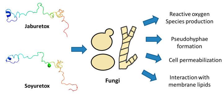 https://cdn.ncbi.nlm.nih.gov/pmc/blobs/b1be/7696265/dc753bb32ff2/molecules-25-05338-g004.jpg
