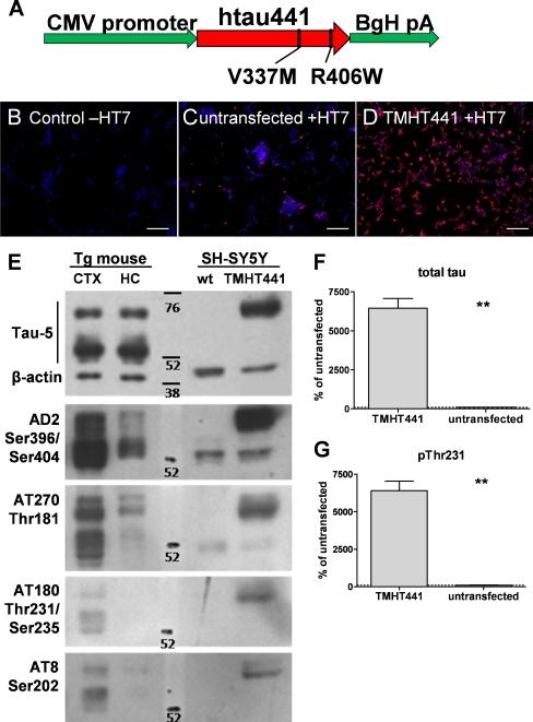 https://cdn.ncbi.nlm.nih.gov/pmc/blobs/b1bf/3323815/4b193217cc80/12031_2012_9716_Fig1_HTML.jpg