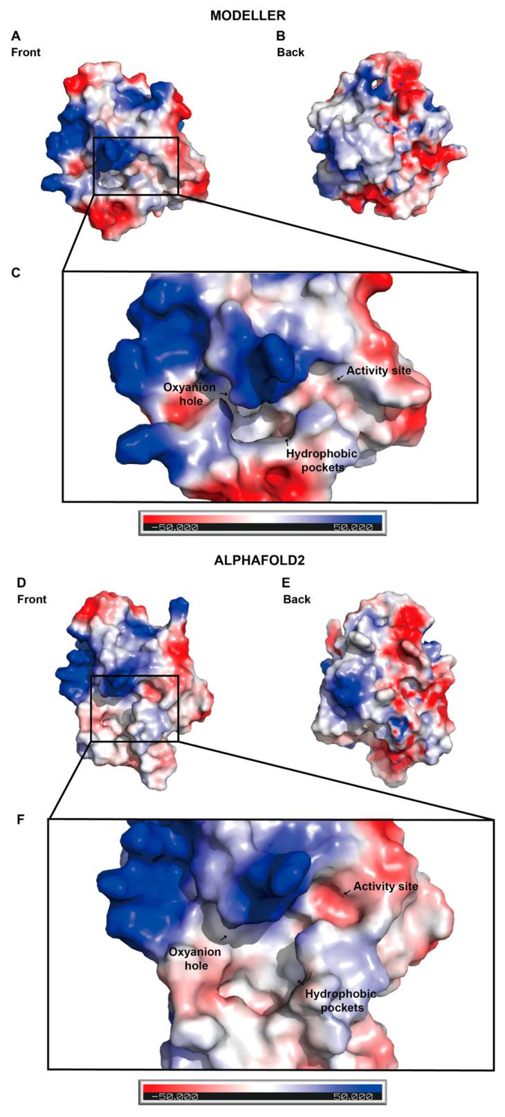 https://cdn.ncbi.nlm.nih.gov/pmc/blobs/b1c0/10708158/781185e01a3d/molecules-28-07747-g005.jpg