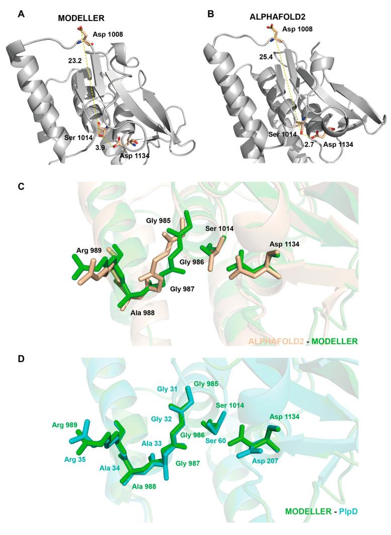 https://cdn.ncbi.nlm.nih.gov/pmc/blobs/b1c0/10708158/7818ce30232c/molecules-28-07747-g003.jpg