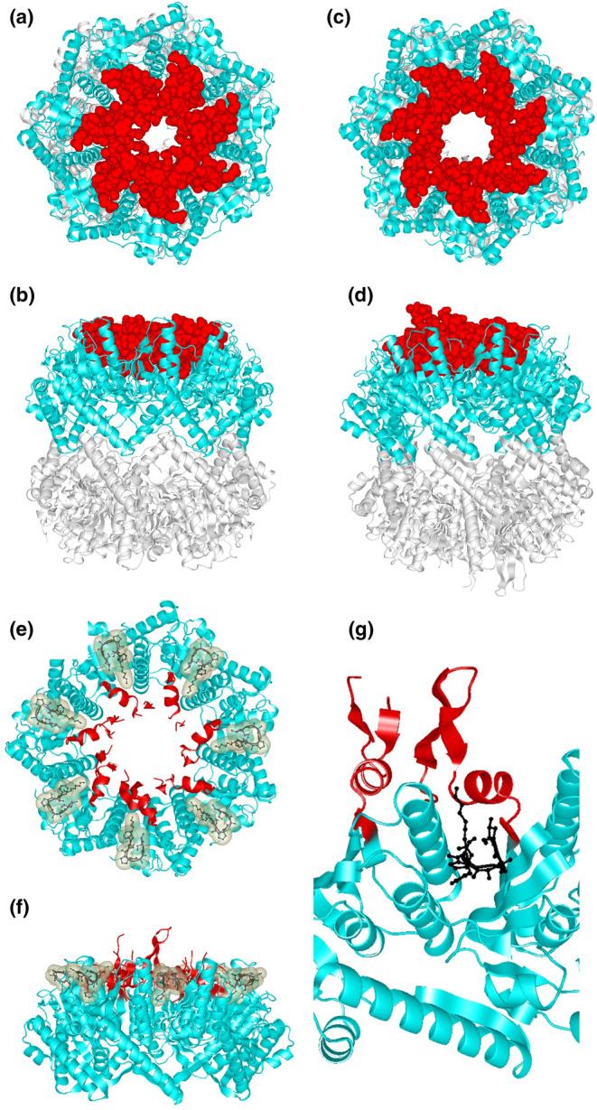 https://cdn.ncbi.nlm.nih.gov/pmc/blobs/b1c0/11448347/5978acb309e8/GTC-29-695-g004.jpg