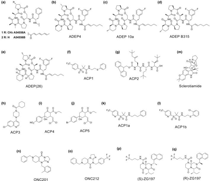 https://cdn.ncbi.nlm.nih.gov/pmc/blobs/b1c0/11448347/da3075e7a62c/GTC-29-695-g008.jpg