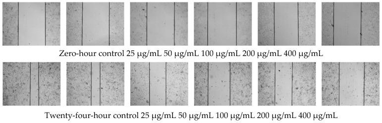 https://cdn.ncbi.nlm.nih.gov/pmc/blobs/b1c3/9784822/41bdbc9c5e42/polymers-14-05399-g007.jpg