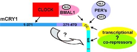 https://cdn.ncbi.nlm.nih.gov/pmc/blobs/b1c5/2872305/38652692e2d3/ijerph-07-00938f5.jpg