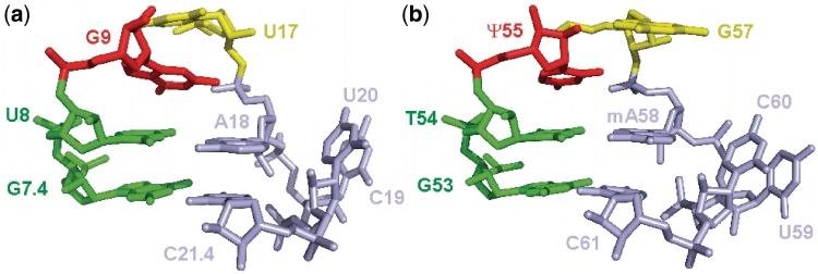 https://cdn.ncbi.nlm.nih.gov/pmc/blobs/b1c5/3273808/6ba030af2586/gkr812f7.jpg