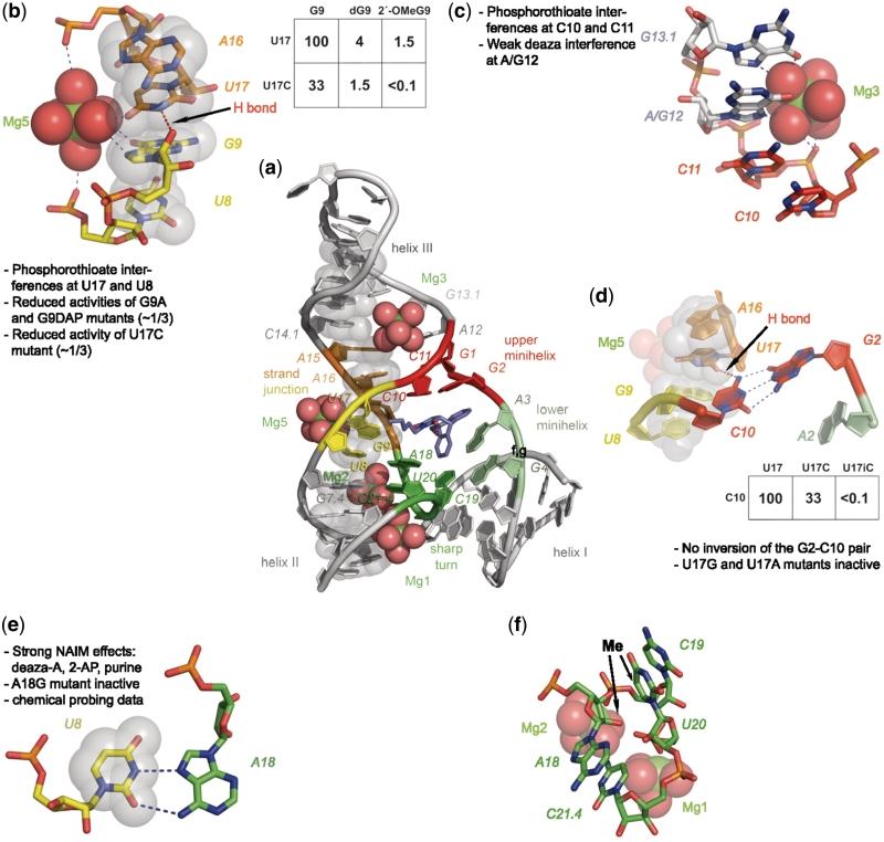 https://cdn.ncbi.nlm.nih.gov/pmc/blobs/b1c5/3273808/ba25bc357822/gkr812f5.jpg
