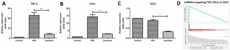 https://cdn.ncbi.nlm.nih.gov/pmc/blobs/b1c6/11354741/8766ee490223/ijms-25-08925-g005.jpg
