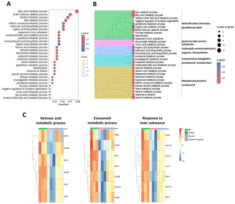 https://cdn.ncbi.nlm.nih.gov/pmc/blobs/b1c6/11354741/aa852087953c/ijms-25-08925-g008.jpg