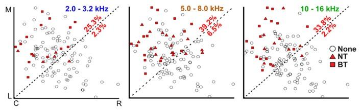 https://cdn.ncbi.nlm.nih.gov/pmc/blobs/b1c6/3635033/42a4c3654947/fncir-07-00077-g004.jpg