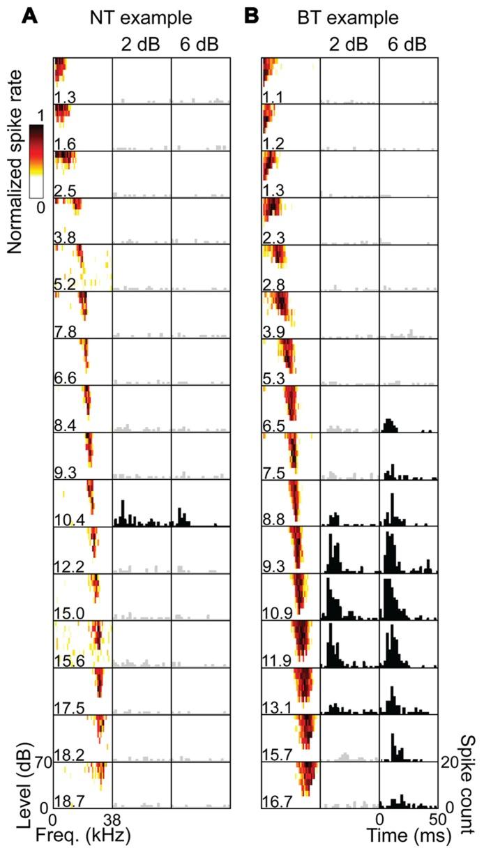 https://cdn.ncbi.nlm.nih.gov/pmc/blobs/b1c6/3635033/e1361c332919/fncir-07-00077-g002.jpg