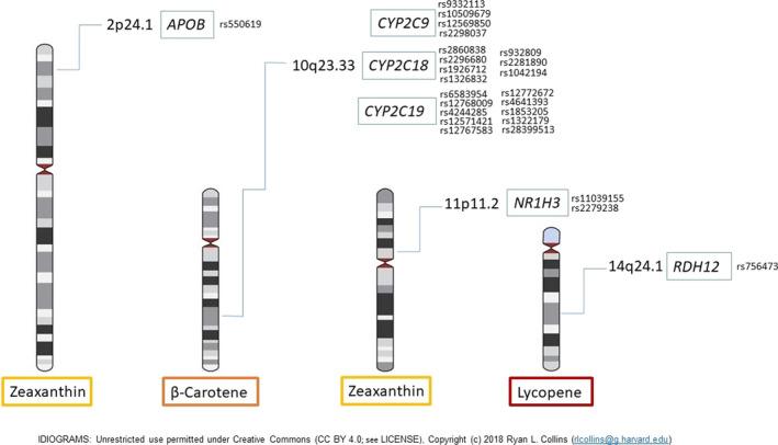 https://cdn.ncbi.nlm.nih.gov/pmc/blobs/b1c7/8907718/5f8ace2e0cb7/FSN3-10-763-g002.jpg