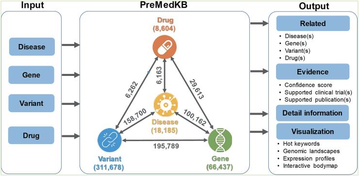 https://cdn.ncbi.nlm.nih.gov/pmc/blobs/b1ca/6324052/d710dfccb858/gky1042fig2.jpg