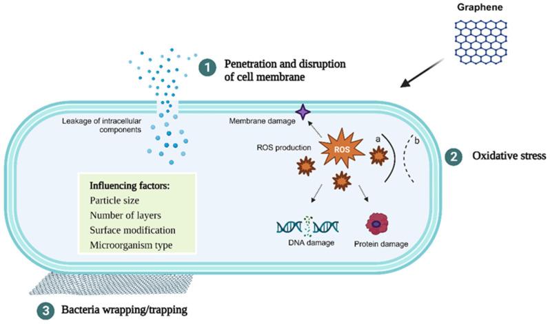 https://cdn.ncbi.nlm.nih.gov/pmc/blobs/b1cd/10669141/f09c800c9e3a/biomolecules-13-01571-g001.jpg