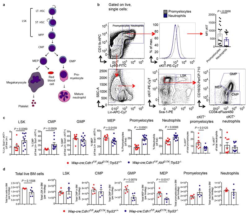 https://cdn.ncbi.nlm.nih.gov/pmc/blobs/b1cd/6707815/624ab0424742/EMS83538-f007.jpg