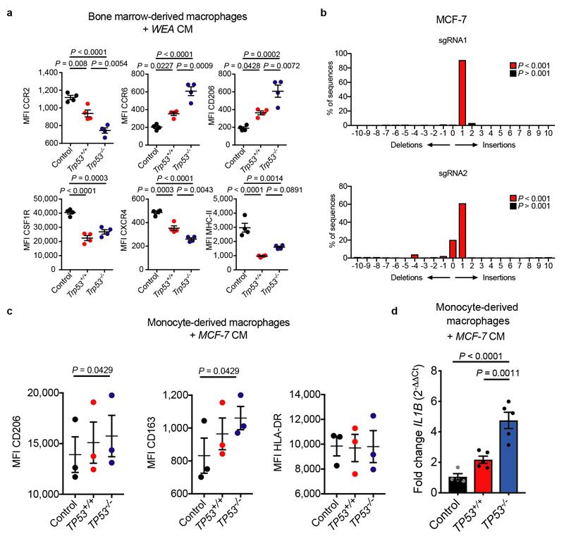 https://cdn.ncbi.nlm.nih.gov/pmc/blobs/b1cd/6707815/bb3ff462c726/EMS83538-f008.jpg