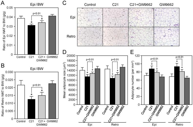 https://cdn.ncbi.nlm.nih.gov/pmc/blobs/b1ce/3498306/5129a2524c11/pone.0048387.g004.jpg
