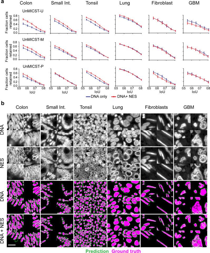 https://cdn.ncbi.nlm.nih.gov/pmc/blobs/b1ce/9674686/2365559edd3b/42003_2022_4076_Fig3_HTML.jpg