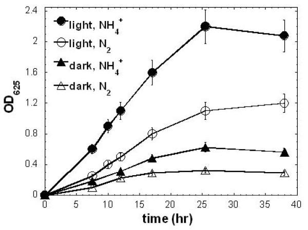 https://cdn.ncbi.nlm.nih.gov/pmc/blobs/b1cf/2887804/1b707654adb1/1471-2180-10-150-7.jpg