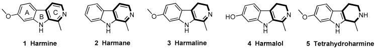 https://cdn.ncbi.nlm.nih.gov/pmc/blobs/b1cf/6320924/71ad3c12971a/ijms-19-04044-g001.jpg