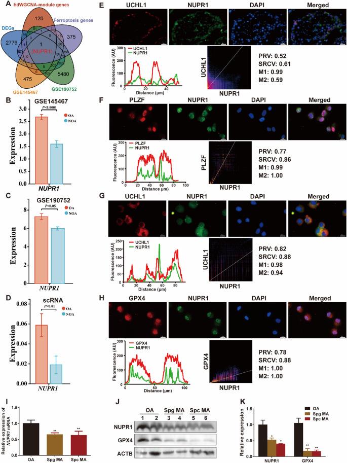 https://cdn.ncbi.nlm.nih.gov/pmc/blobs/b1d0/12405137/42450b5bd7cf/18_2025_5818_Fig3_HTML.jpg