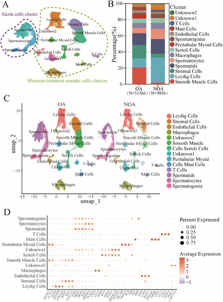 https://cdn.ncbi.nlm.nih.gov/pmc/blobs/b1d0/12405137/508c89cda776/18_2025_5818_Fig1_HTML.jpg