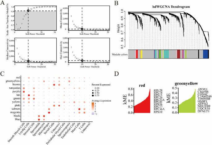 https://cdn.ncbi.nlm.nih.gov/pmc/blobs/b1d0/12405137/649df8ce7153/18_2025_5818_Fig2_HTML.jpg