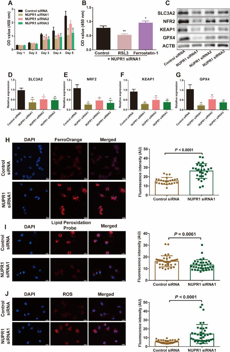 https://cdn.ncbi.nlm.nih.gov/pmc/blobs/b1d0/12405137/926eb1252cad/18_2025_5818_Fig4_HTML.jpg