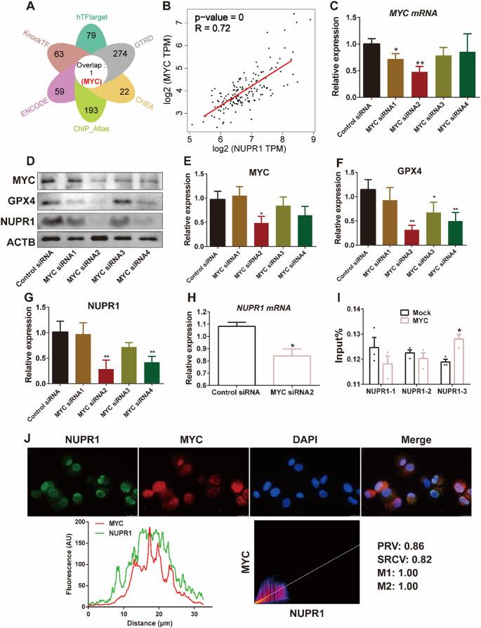 https://cdn.ncbi.nlm.nih.gov/pmc/blobs/b1d0/12405137/fcf0e14fd2c4/18_2025_5818_Fig5_HTML.jpg