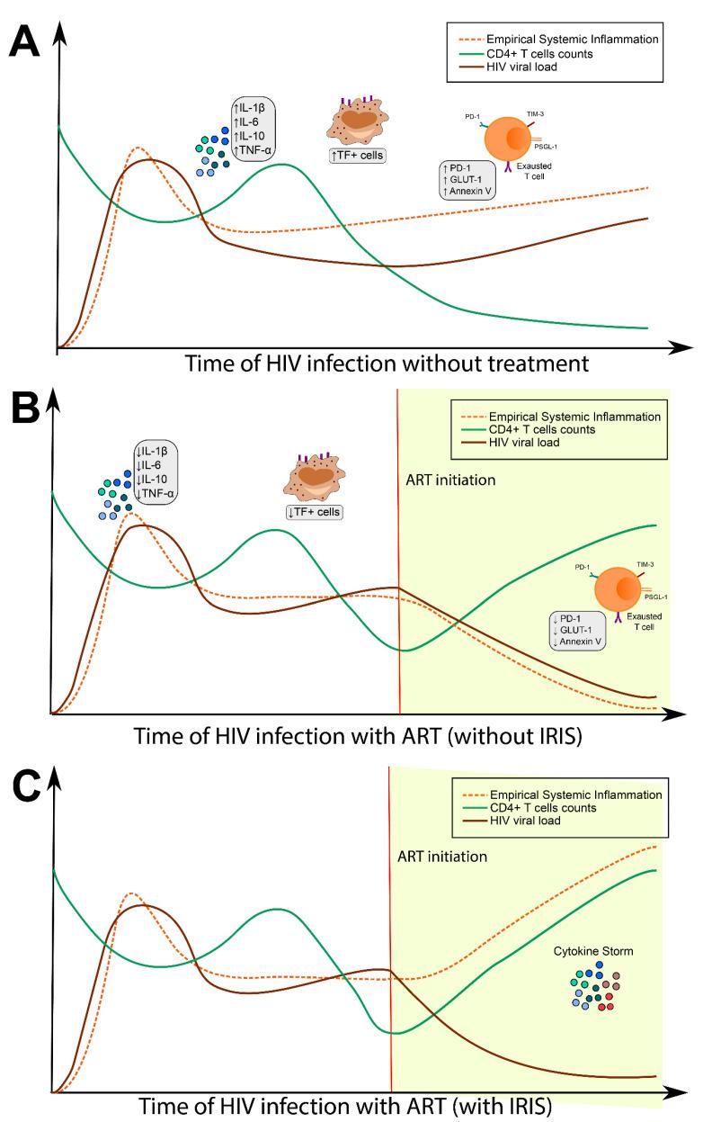 https://cdn.ncbi.nlm.nih.gov/pmc/blobs/b1d1/7831327/29b4a7dfd8d0/life-11-00065-g001.jpg