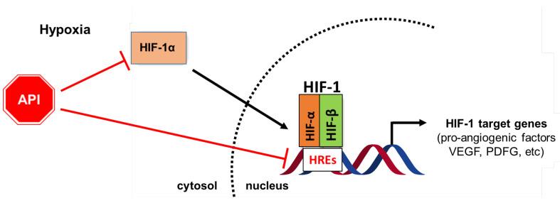 https://cdn.ncbi.nlm.nih.gov/pmc/blobs/b1d4/11122459/96e6d44e6336/ijms-25-05569-g002.jpg