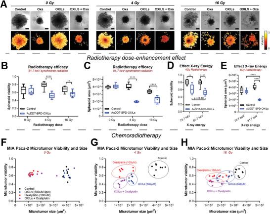 https://cdn.ncbi.nlm.nih.gov/pmc/blobs/b1d5/11636064/662b79a2b6a5/ADMA-36-2404605-g005.jpg