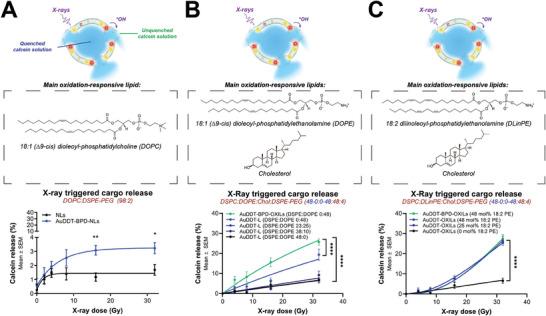 https://cdn.ncbi.nlm.nih.gov/pmc/blobs/b1d5/11636064/d42bcd1e7527/ADMA-36-2404605-g004.jpg