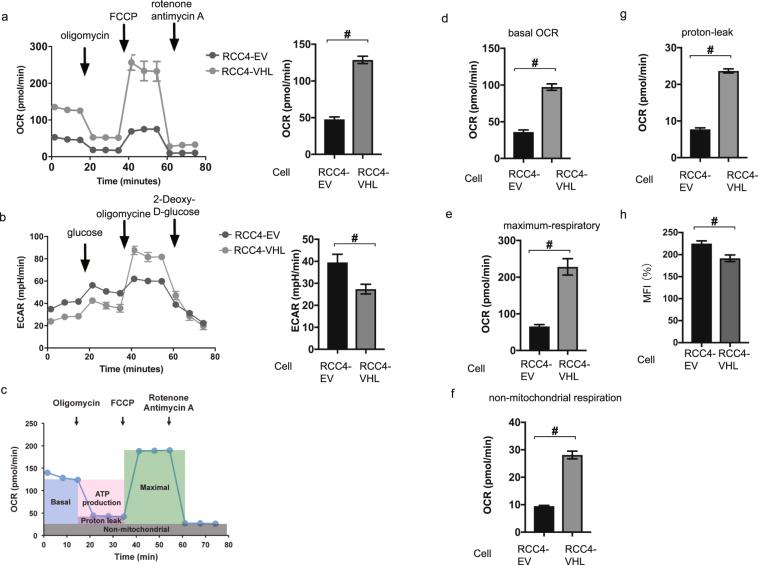 https://cdn.ncbi.nlm.nih.gov/pmc/blobs/b1d5/5997661/6b9babd7e4e2/41598_2018_27220_Fig5_HTML.jpg