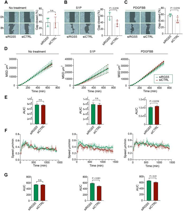 https://cdn.ncbi.nlm.nih.gov/pmc/blobs/b1d6/9596146/d94140d9434c/biolopen-11-059371-g3.jpg