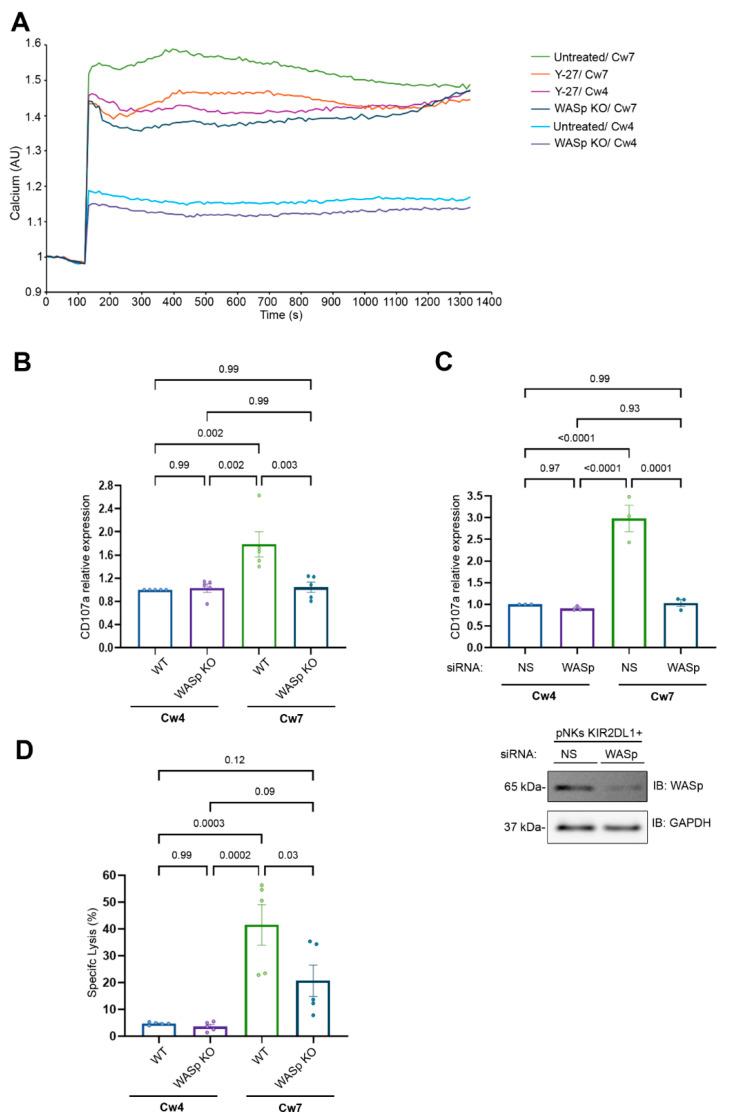 https://cdn.ncbi.nlm.nih.gov/pmc/blobs/b1d7/9367451/559610458908/cancers-14-03756-g004.jpg