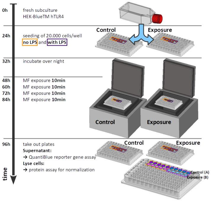 https://cdn.ncbi.nlm.nih.gov/pmc/blobs/b1d7/9598188/b105ceec9c6b/bioengineering-09-00595-g003.jpg