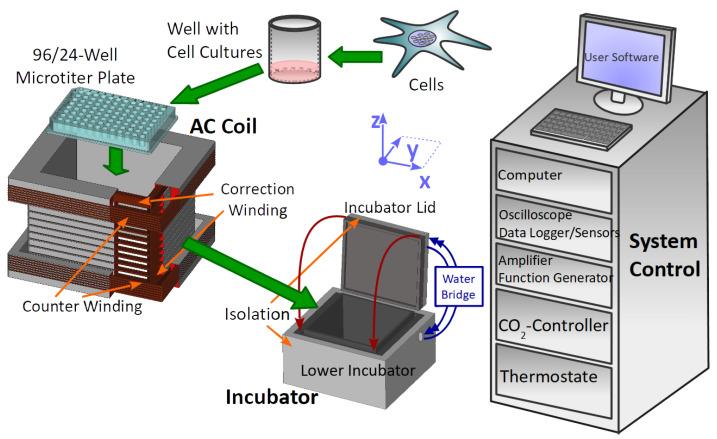 https://cdn.ncbi.nlm.nih.gov/pmc/blobs/b1d7/9598188/e9eec26f0548/bioengineering-09-00595-g001.jpg