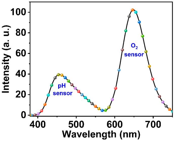https://cdn.ncbi.nlm.nih.gov/pmc/blobs/b1d7/9688805/59c6755bbb13/biosensors-12-01011-g008.jpg