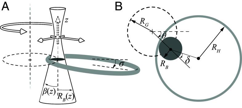 https://cdn.ncbi.nlm.nih.gov/pmc/blobs/b1da/11725822/36e6f8177185/pnas.2411588121fig02.jpg