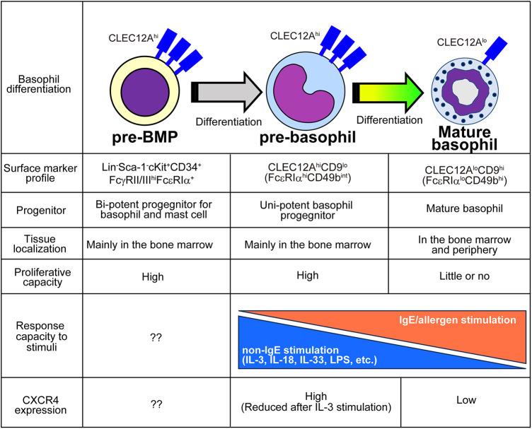 https://cdn.ncbi.nlm.nih.gov/pmc/blobs/b1db/11128600/140c49bdd45c/falgy-05-1402841-g002.jpg